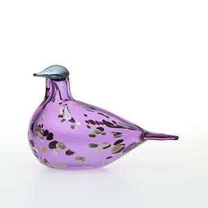 Birds Amethyst bird 0816