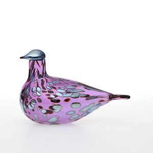 Birds Amethyst bird 0817