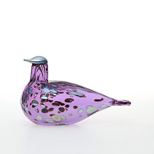 Birds Amethyst bird 0820