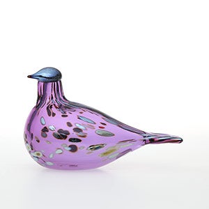 Birds Amethyst bird 0822