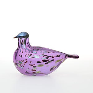 Birds Amethyst bird 0824