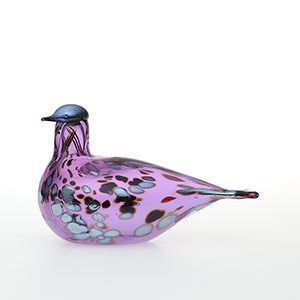 Birds Amethyst bird 0825