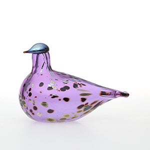Birds Amethyst bird 0826