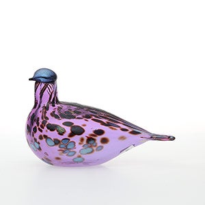 Birds Amethyst bird 0827