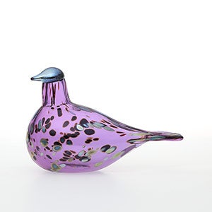 Birds Amethyst bird 0828