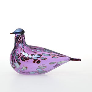 Birds Amethyst bird 0829