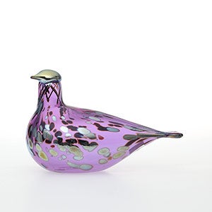 Birds Amethyst bird 0830