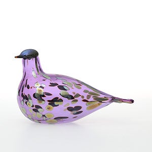 Birds Amethyst bird 0831