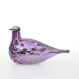 Birds Amethyst bird 0832