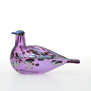 Birds Amethyst bird 0833