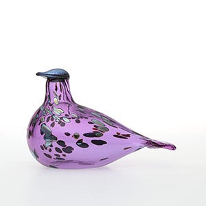 Birds Amethyst bird 0834