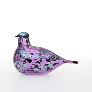 Birds Amethyst bird 0837