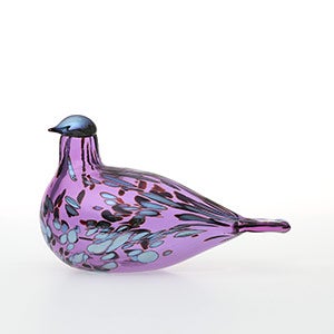 Birds Amethyst bird 0838