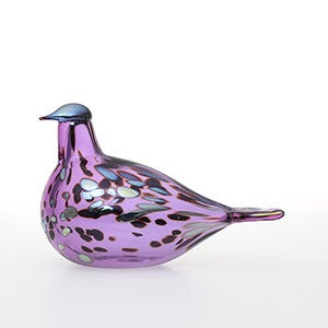 Birds Amethyst bird 0839