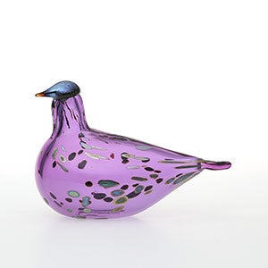 Birds Amethyst bird 0841