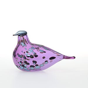 Birds Amethyst bird 0844