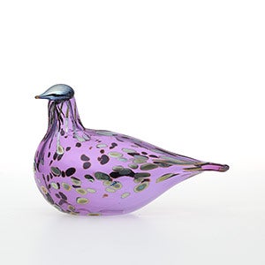 Birds Amethyst bird 0845