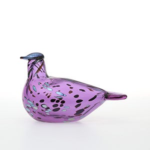 Birds Amethyst bird 0846