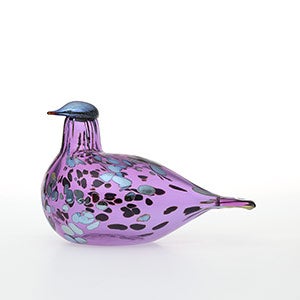 Birds Amethyst bird 0847