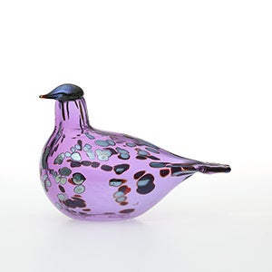 Birds Amethyst bird 0848
