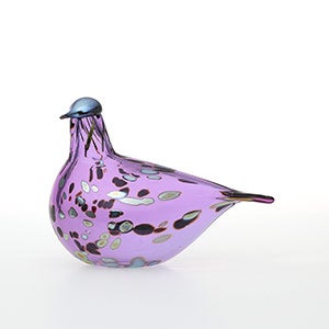 Birds Amethyst bird 0849