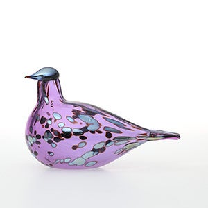 Birds Amethyst bird 0850