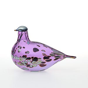 Birds Amethyst bird 0851