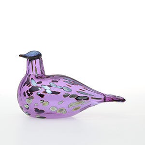 Birds Amethyst bird 0852