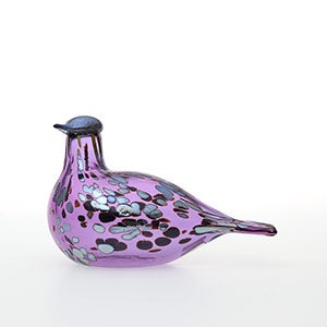Birds Amethyst bird 0853