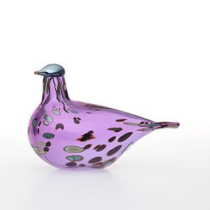 Birds Amethyst bird 0854