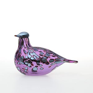 Birds Amethyst bird 0855
