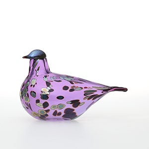 Birds Amethyst bird 0856