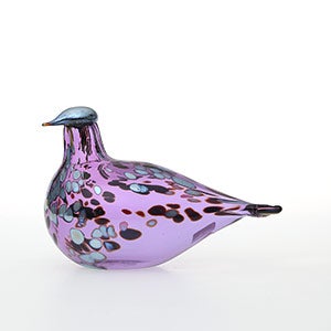 Birds Amethyst bird 0857