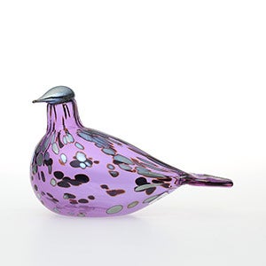 Birds Amethyst bird 0858