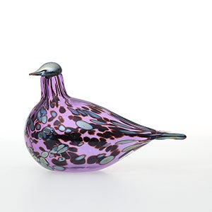 Birds Amethyst bird 0859