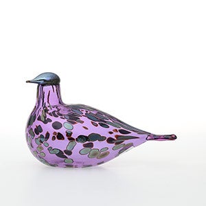 Birds Amethyst bird 0861