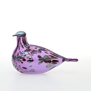 Birds Amethyst bird 0862