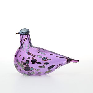 Birds Amethyst bird 0865