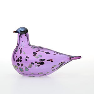 Birds Amethyst bird 0867
