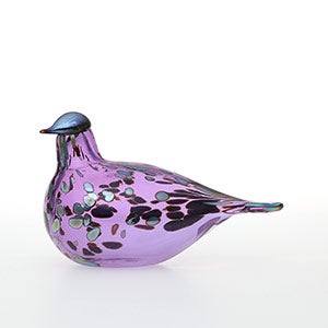 Birds Amethyst bird 0868