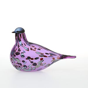 Birds Amethyst bird 0869