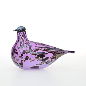 Birds Amethyst bird 0870