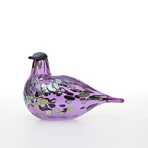 Birds Amethyst bird 0871