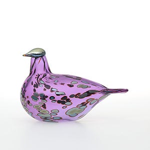 Birds Amethyst bird 0872