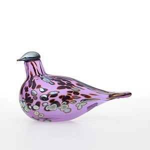 Birds Amethyst bird 0873