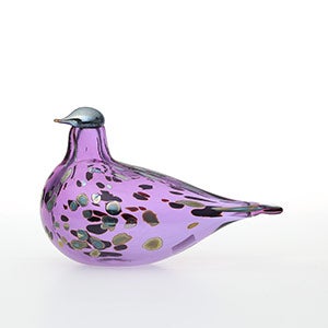 Birds Amethyst bird 0874