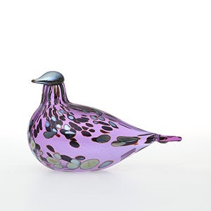 Birds Amethyst bird 0875
