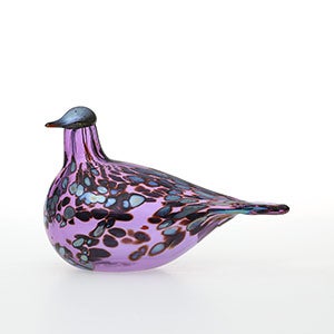 Birds Amethyst bird 0876