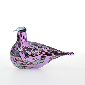 Birds Amethyst bird 0877