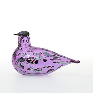 Birds Amethyst bird 0878